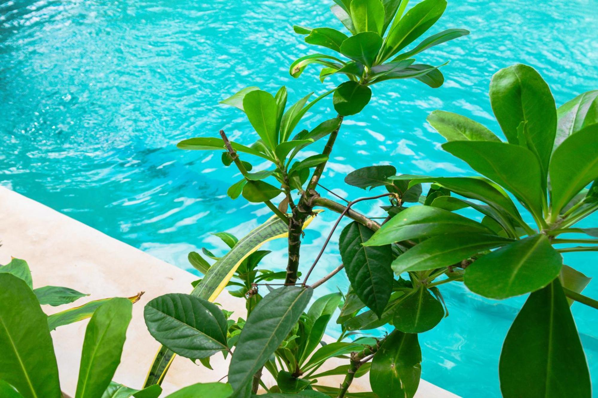 Pili Pili Palm Beach 江比阿 外观 照片