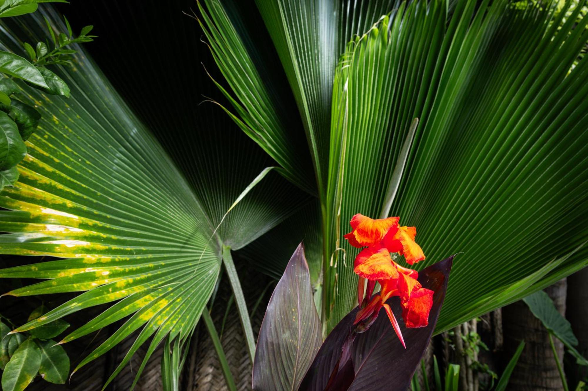 Pili Pili Palm Beach 江比阿 外观 照片